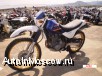      ,    Kawasaki Sherpa Kl 250