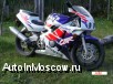  Honda Cbr 400RR 1996. 