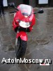   Honda Vtr1000R Fine Storm