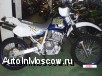  Suzuki Dr 250 Djebel Xc     