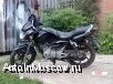   Tvs Apache 150 ( Suzuki)