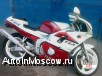   Yamaha Fzr250R 91. . 