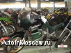  Honda Xl 400 V Transalp    ,  