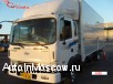  Hyundai Gold,  5 ton,  2005,   